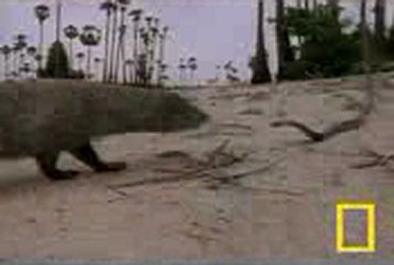 정보카지노 ❤	✝ＸＥＤ７００．ＣＯＭ ✝❤	 강원랜드룰렛