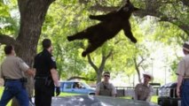 Ces photos ont été prises au bon endroit et au bon moment