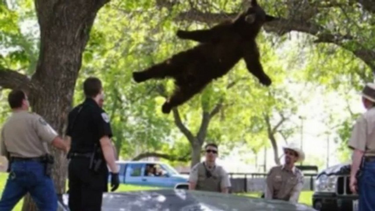 Ces photos ont été prises au bon endroit et au bon moment