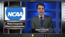 NCAA Puts Miami Investigation on Hold