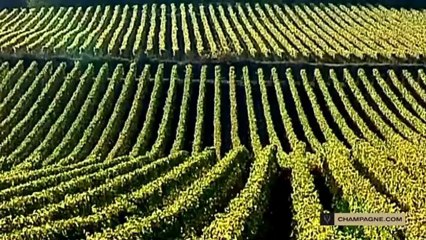 Champagne terroir: geography