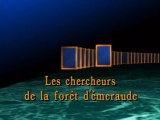 Les Chercheurs de la Forêt D'Émeraude / National Geographic / Les 25 Plus Beaux Films