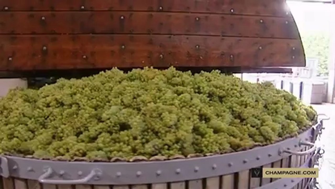 Elaboration du vin : le pressurage