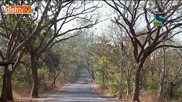 Anamika 24th Jan Desirippers