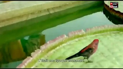 Le Pathé Wepler, la salle du cinéma du futur