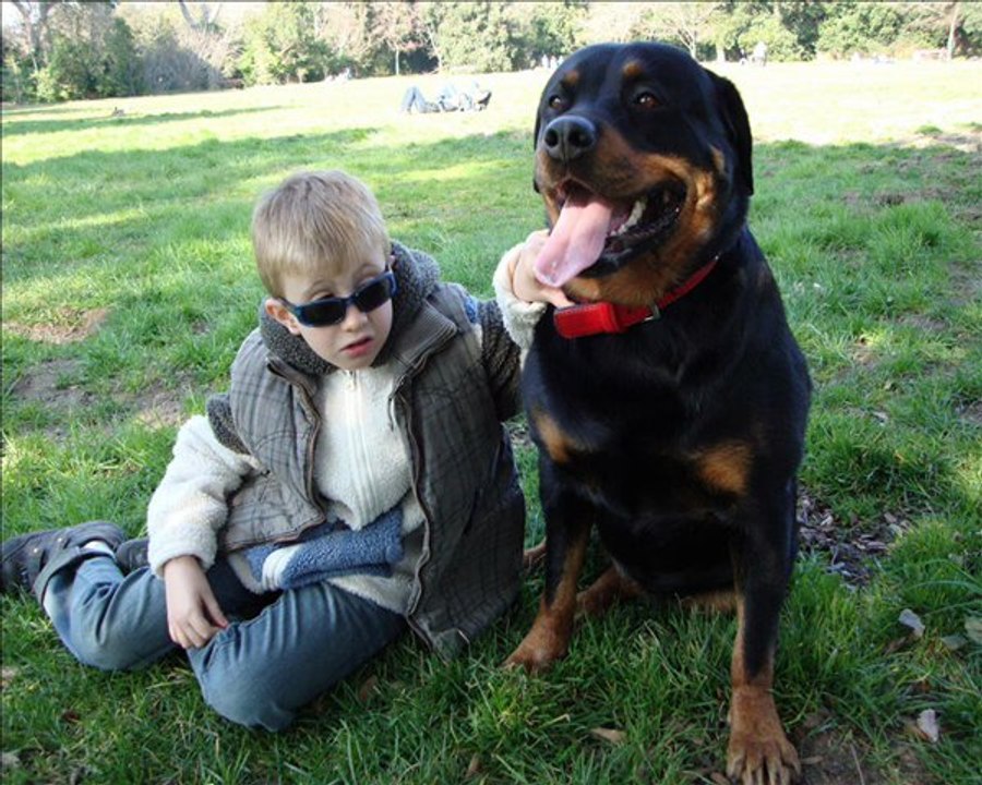 KOUMA CHIEN D ANGE HEUREUX