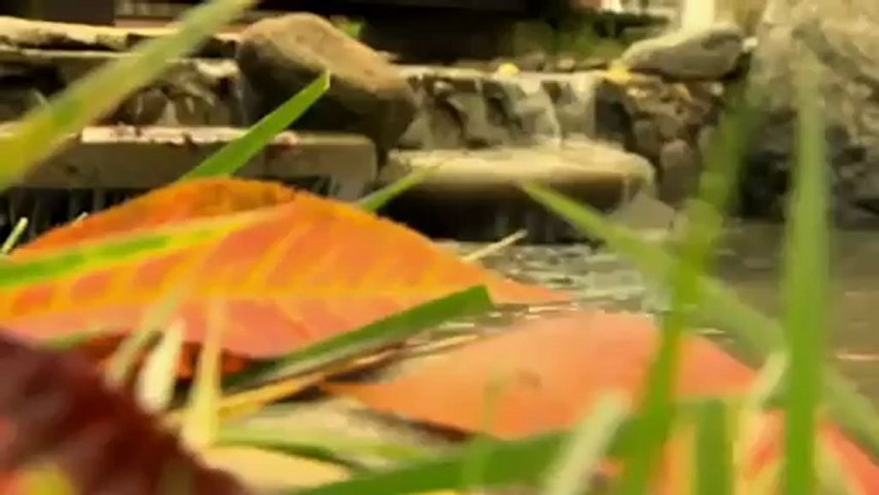 TRABZON Turizm Bakanlığı Trabzon İl Kültür ve Turizm Müdürlüğü www.asyadizi.com