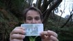 EUROS Nuevos billetes y las falsificaciones
