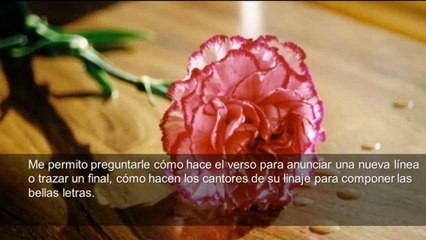 Carlos de la Rosa Vidal - Cartas a una Mujer Poeta