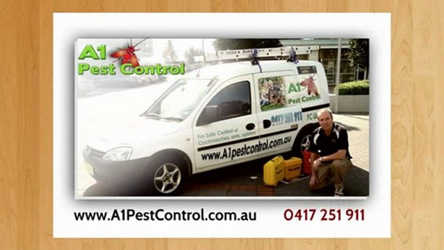 Pest Control In Beaumont Hills | Call 0417 251 911