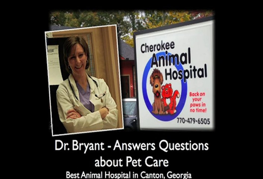 Spays and Neuters, Cherokee Animal Hospital in Canton GA