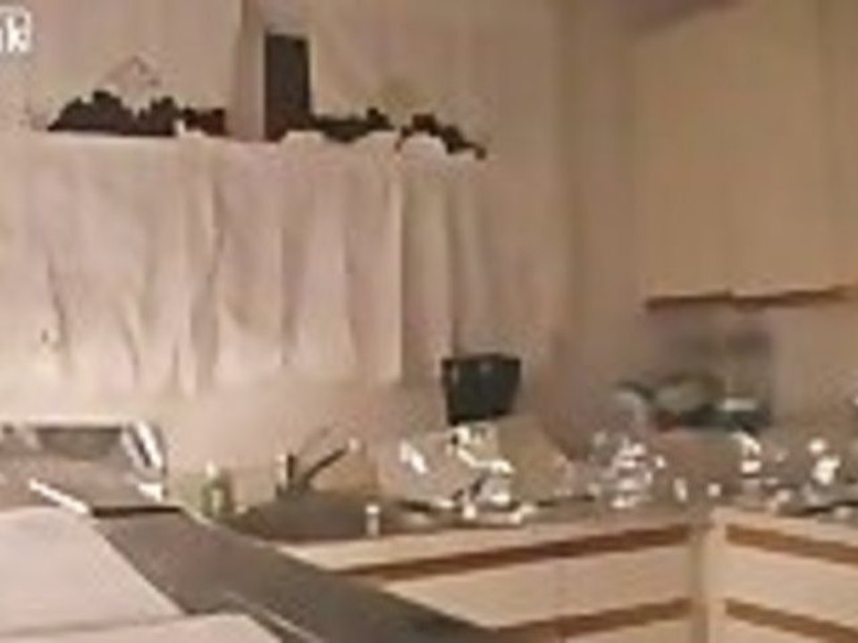 Tin Foil Is Cat Repellent video Dailymotion