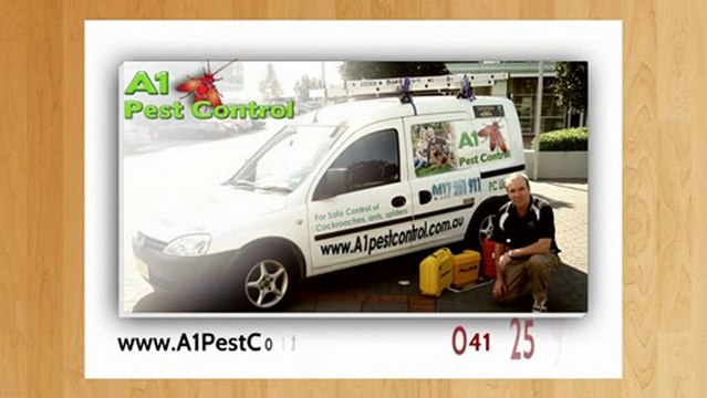 Pest Control In Baulkham Hills | Call 0417 251 911