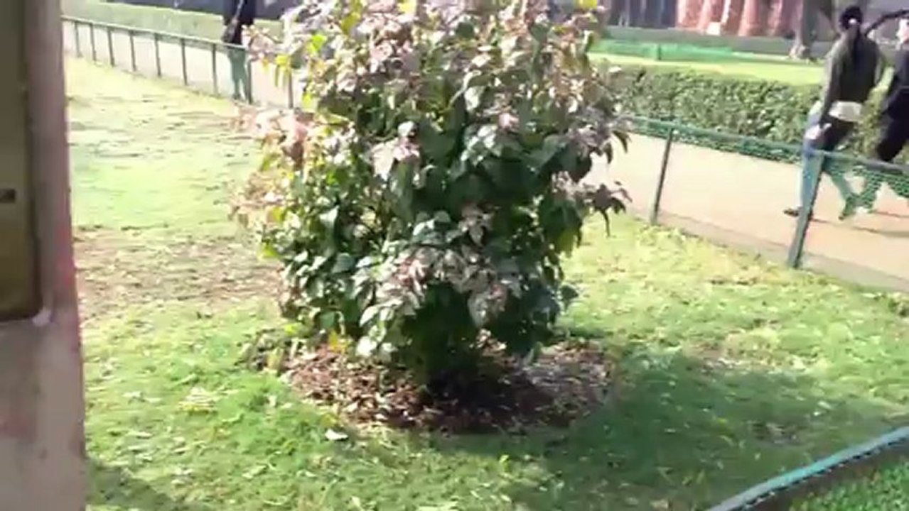 Mehrauli, New Delhi, India at Qutb Minar of Qutubudin Aibak.trim.1xoEjF