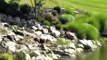 CBWS New Homes & Land-Hearthstone Estates