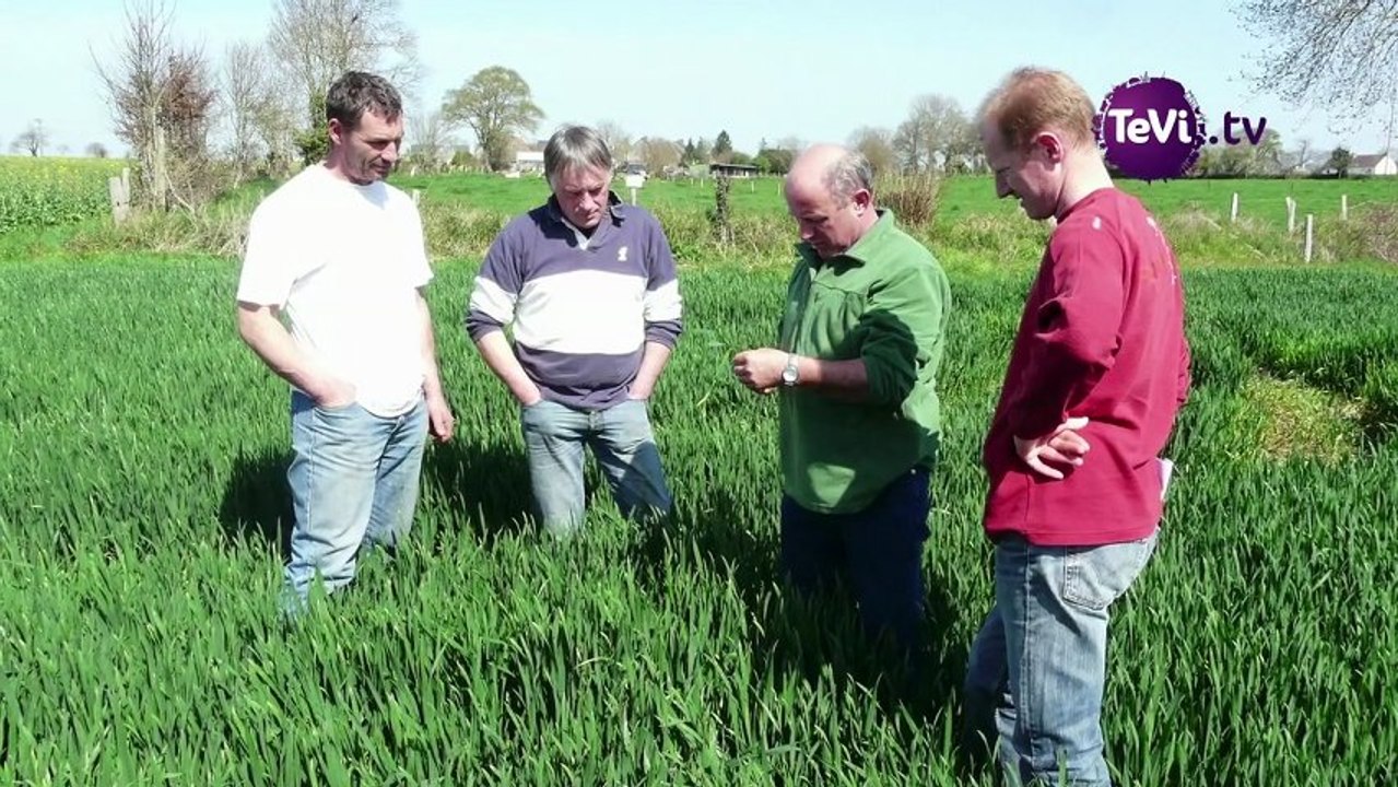 28 janvier 2013 - Réseau DEPHY: un agriculteur du Mt St Michel réduit l'uilisation des produits chimiques