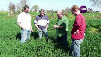28 janvier 2013 - Réseau DEPHY: un agriculteur du Mt St Michel réduit l'uilisation des produits chimiques