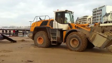 un cétacé échoué aux Sables-d'Olonne