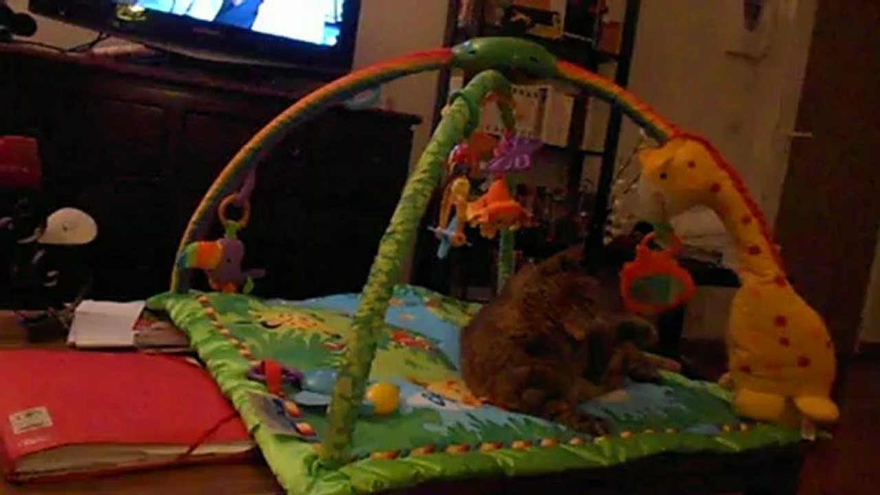 bébé Gribouille et le tapis d'éveil