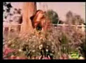 Ek Baat Kaho Dildara