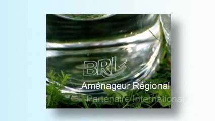 Présentation du Groupe BRL