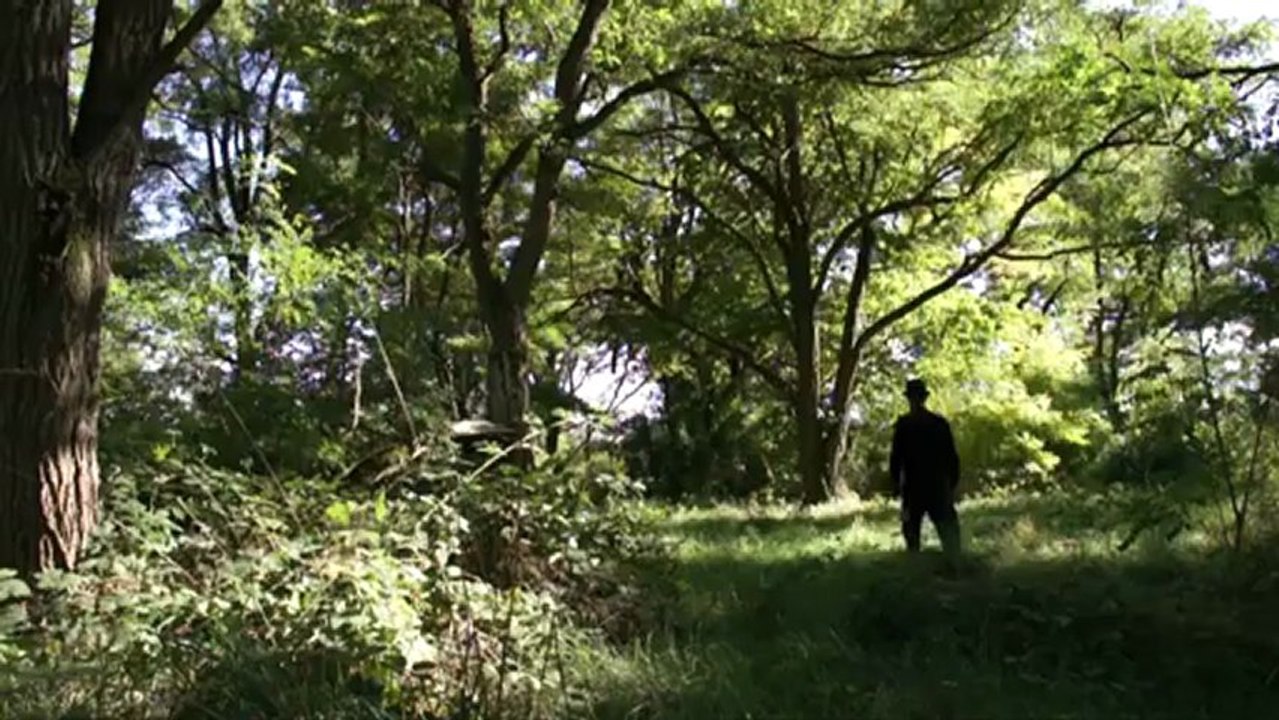 Vers la forêt