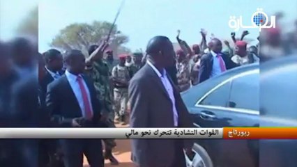 القوات التشادية تتحرك نحو مالي