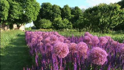 Jardins Remarquables, Château du Rivau