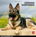 Calendar Review: German Shepherds 2013 Square 12X12 Wall Calendar (Multilingual Edition) by BrownTrout Publishers