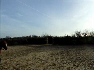 26.01 Trot
