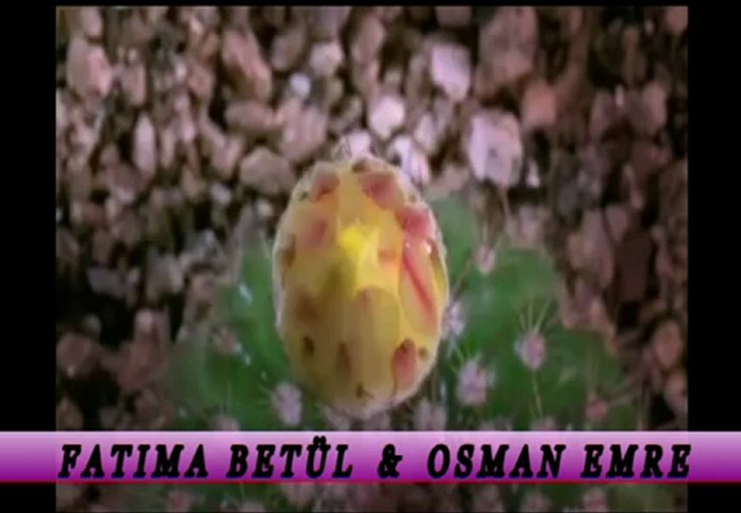 G€LİN DAMAT GİRİŞ