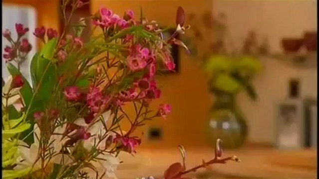 27 Лучшие эко-дома мира