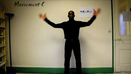 FLASHMOB DE VENISSIEUX - RDV le 9 février 2013 à 16h30