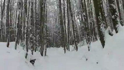Descente à ski de fond