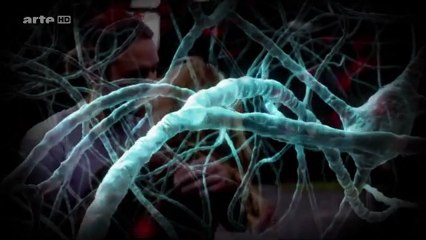 Le Cerveau et ses Automatismes : Le Pouvoir de L'inconscient 2de2