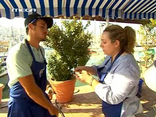 MASTER CHEF (10ο επεισόδιο) - 1ος κύκλος