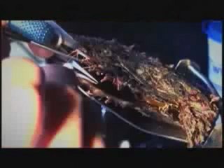 İstiridye İnci-İncinin Hikayesi