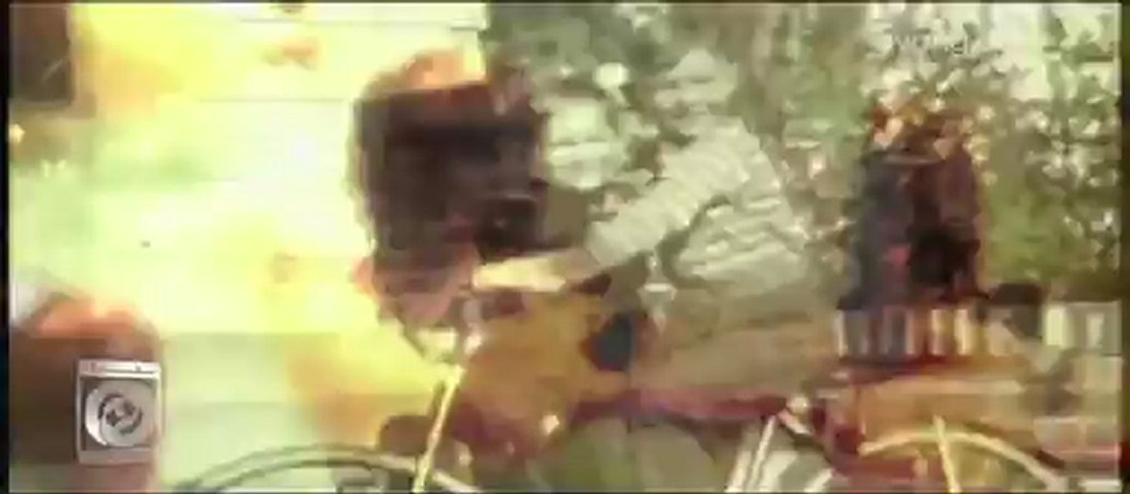 Amo - Barf