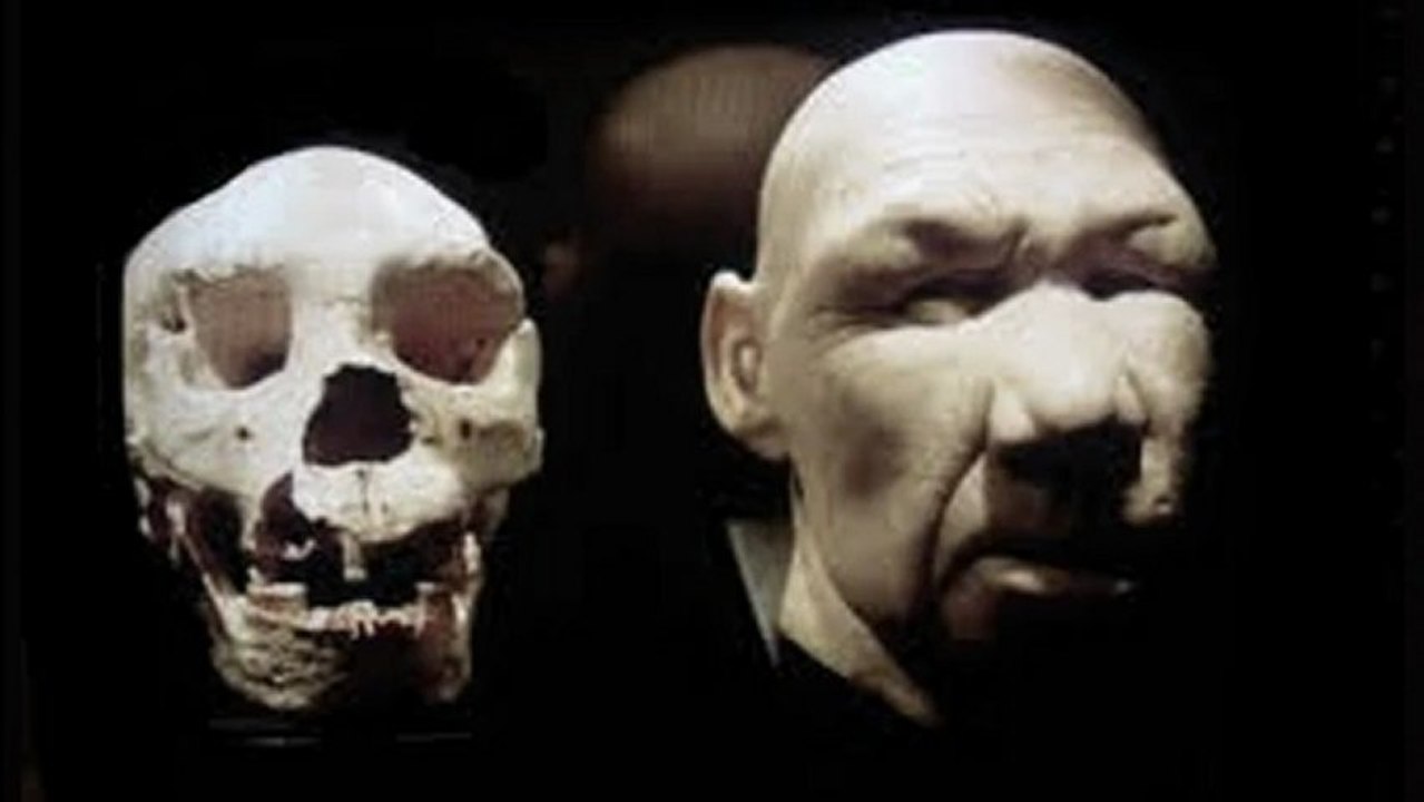 single EGO / protestsound