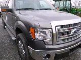 2013 Ford F150  Dealer Whitehall, PA | 2013 Ford F150 Dealership Whitehall, PA