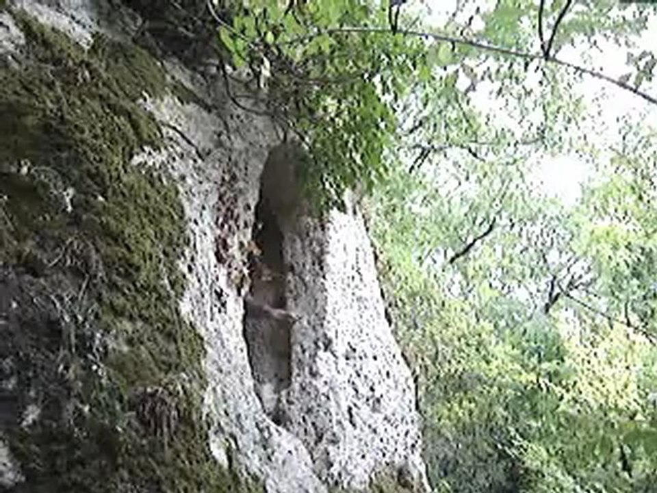 Monolitique