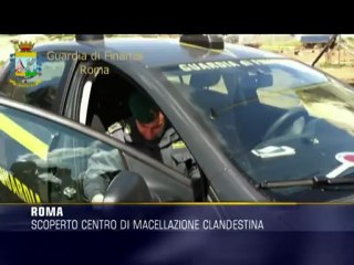 Macellazione clandestina, scoperto un centro