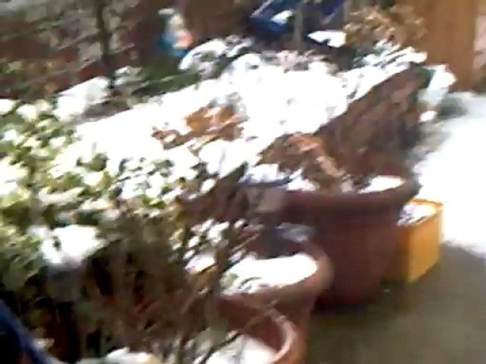 CLIP0493