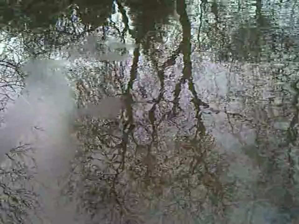 CLIP0498