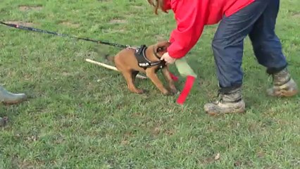 Hellboy du Domaine des Eclaireurs le 25 janvier 2013