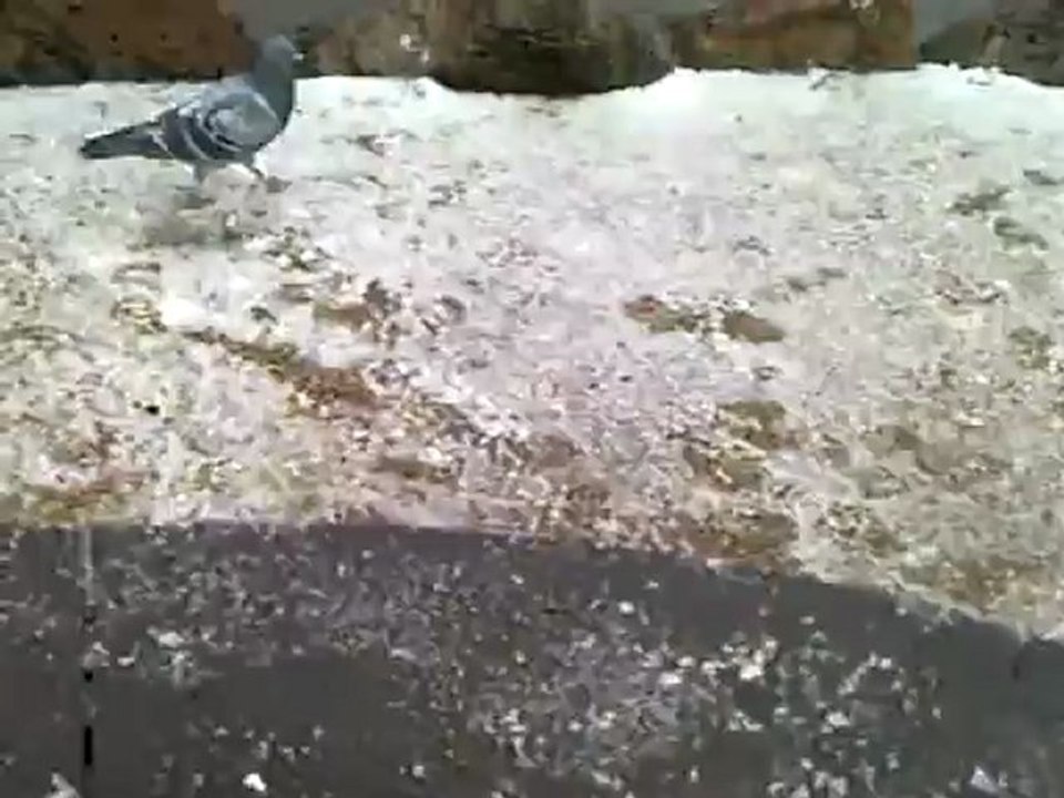 CLIP0501