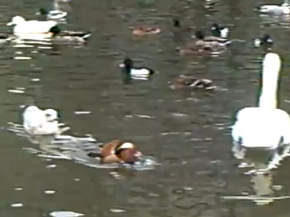 CLIP0502