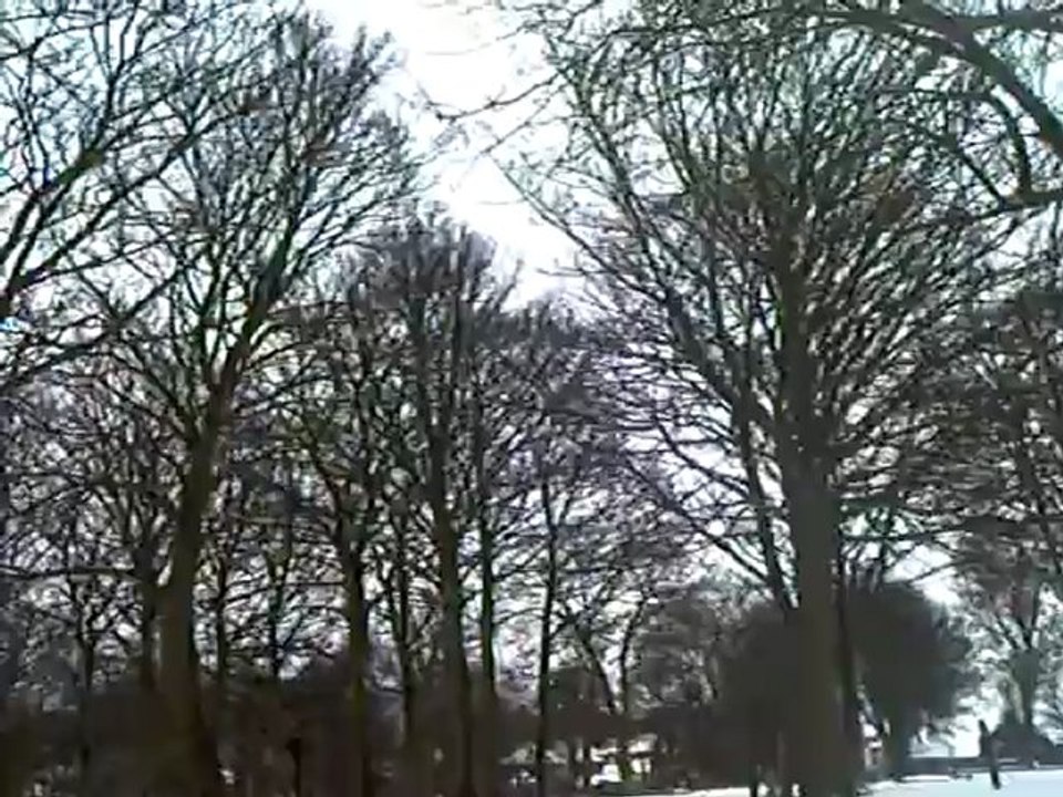 CLIP0491