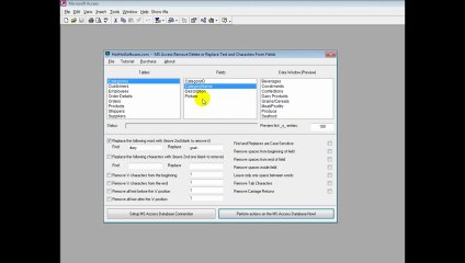 How to find and replace in microsoft access, and remove/delete whitespaces and characters