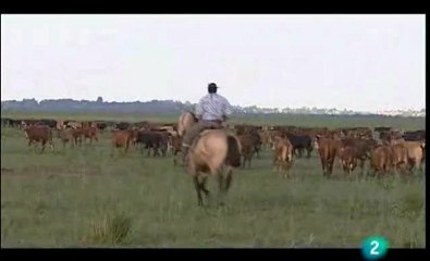 Guerra soja Cap II Argentina